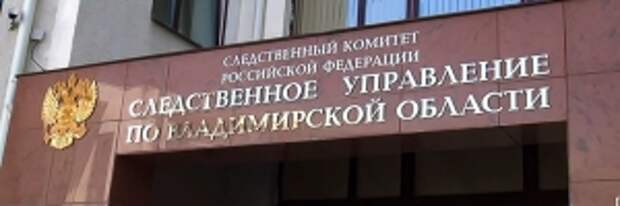 Главе ведомства будет повторно доложено о ходе расследования смерти несовершеннолетнего в одной из больниц Владимирской области
