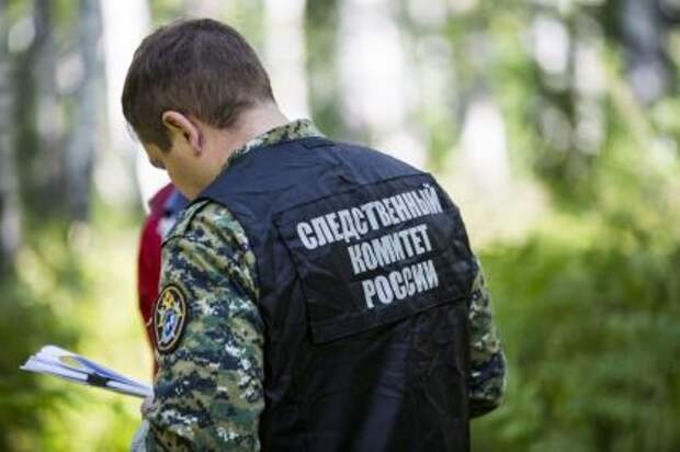 СК займется расследованием случаев анонимного «минирования» учебных заведений на полуострове