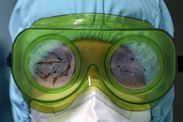 ВОЗ оценил летальность вируса Нипах в 40-75%