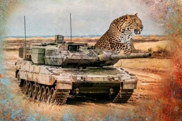 Почему у немецких танков кошачьи имена?
