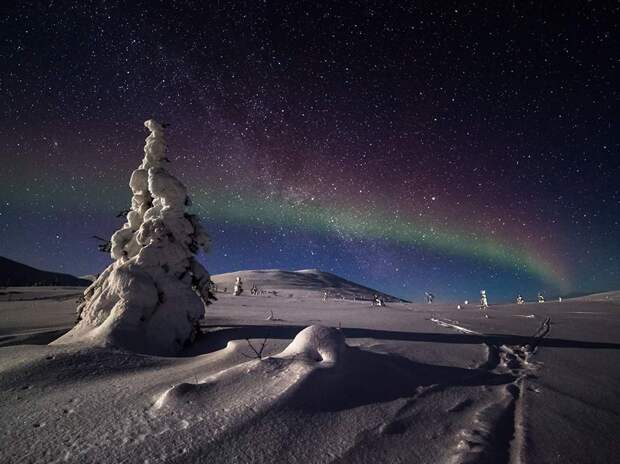 Лучшие фотографии от National Geographic апреля 2016 года