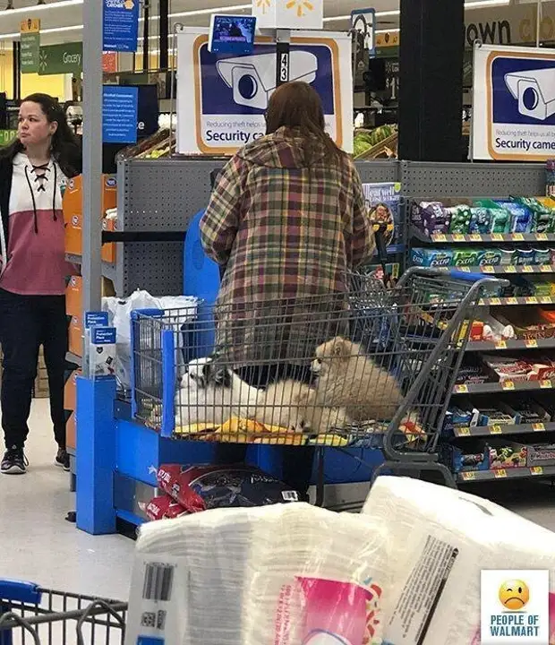 Crackhead At Walmart