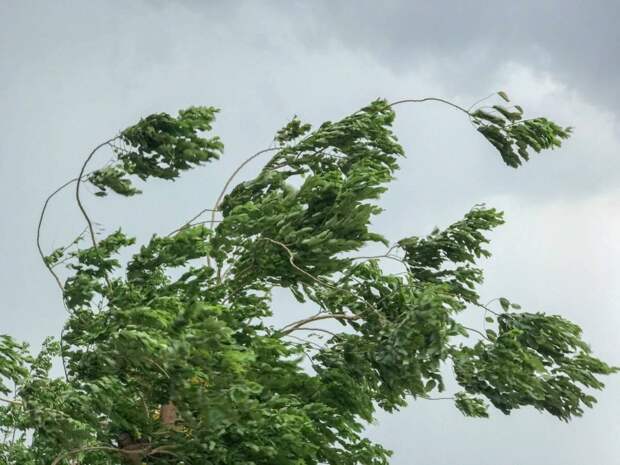 Штормовое предупреждение из-за усиления ветра объявили в Забайкальском крае