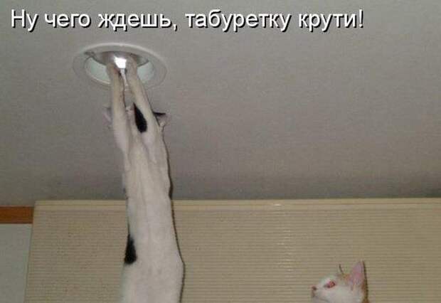 Мысли вслух :)