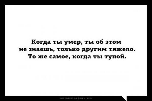 Прикольные картинки на двух страницах (59 шт)