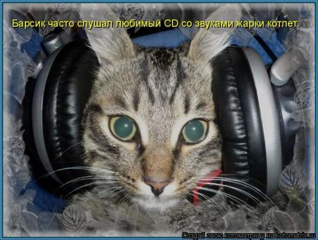 Лучшие котоматрицы недели (50 фото)
