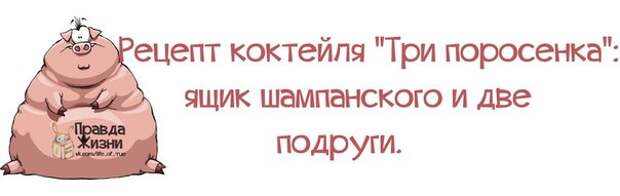 Прикольные фразочки в забавных картинках