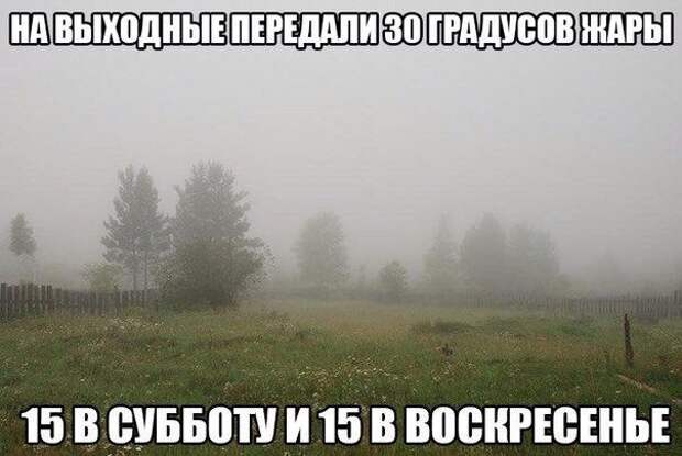30 прикольных зарядов на всю неделю