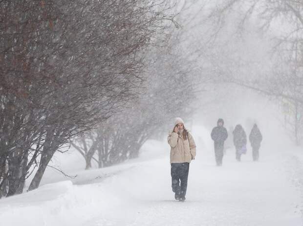 Холод из Арктики: синоптик Попова объяснила резкое похолодание в Краснодаре