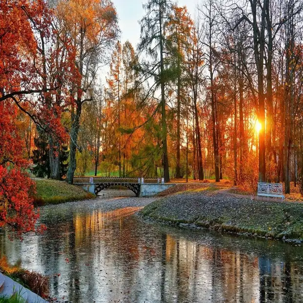 Красоты России. Осень Ленинградской области