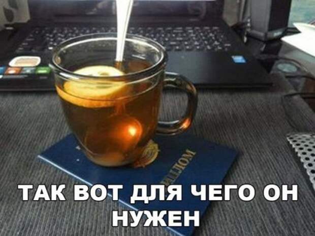 Анекдоты для настроения (13 шт)