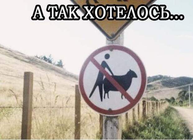Не повторяйте такое никогда...