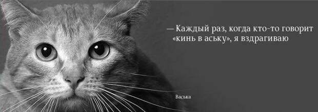 Забывные фотки (41фотка)