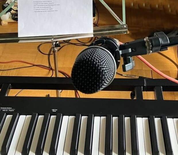 Музыка. Фото: Дарья Лебедева