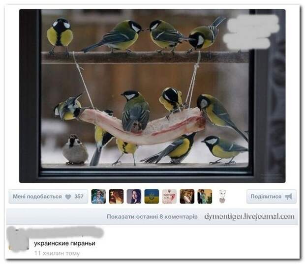 Подслушано из социальных сетей