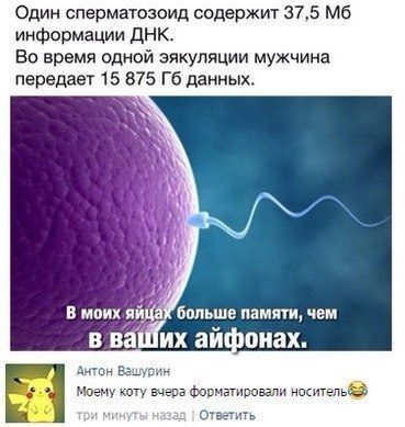 Любимые комментарии из социальных сетей