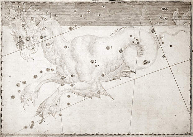 созвездие Кита на старинной карте