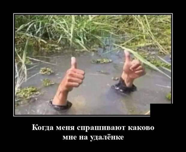 Демотиватор про удаленку