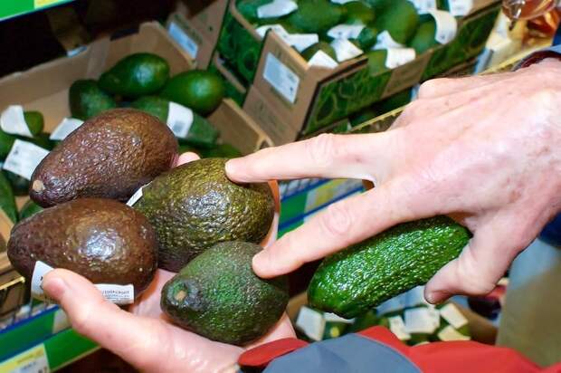 Цвет авокадо - не главный показатель спелости. / Фото: Fruitnews.ru Цвет авокадо - не главный показатель спелости. / Фото: Fruitnews.ru