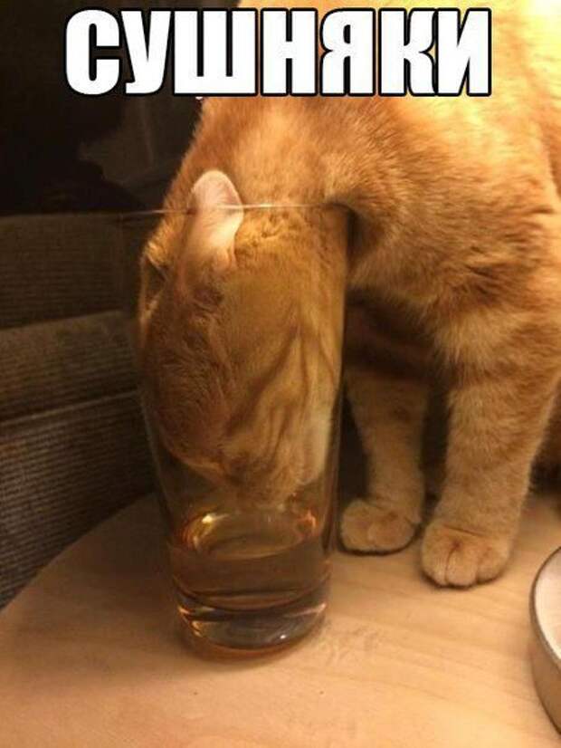 Праздник удался! Жмите лайк!