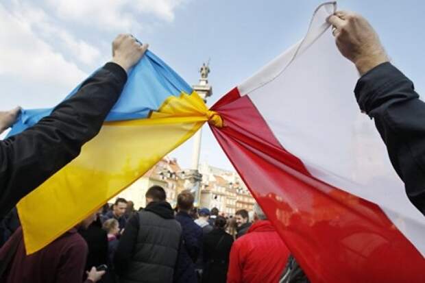 Поляки в агонии из-за унижения соотечественника на Украине: надо выкинуть всю бандеровскую падаль из страны - к резунам не ездить