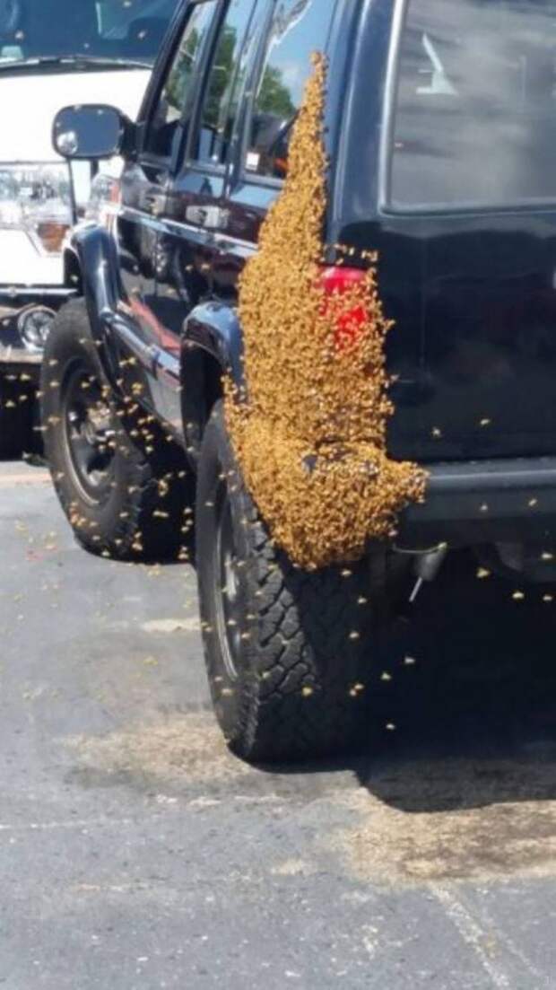 0_18ebc9_63b43a4f_orig-1