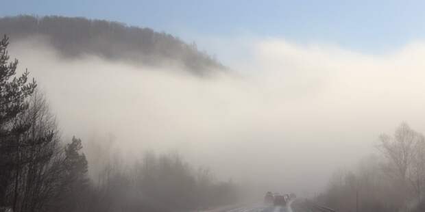 Экстренное предупреждение в Крыму: спасатели просят не выезжать на трассы и избегать лесов