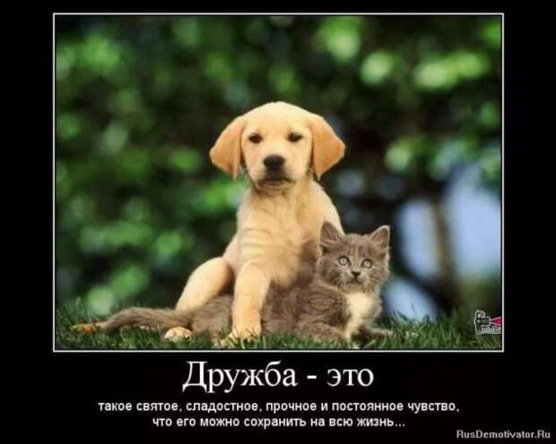 Прикольные демотиваторы с надписями. Подборка chert-poberi-dem-chert-poberi-dem-57570603092020-4 картинка chert-poberi-dem-57570603092020-4