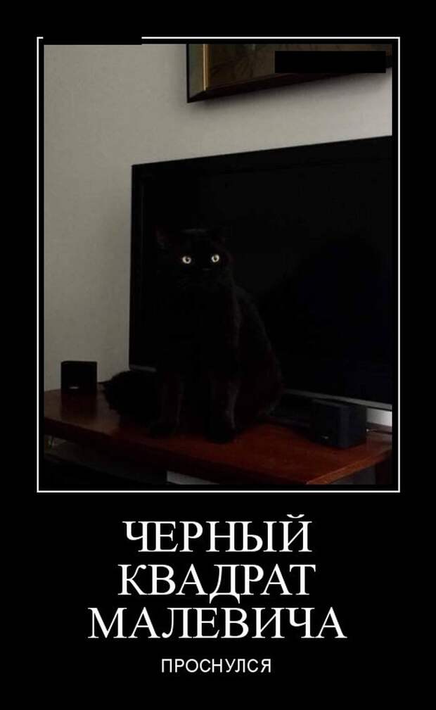 Демотиваторы (20 фото)