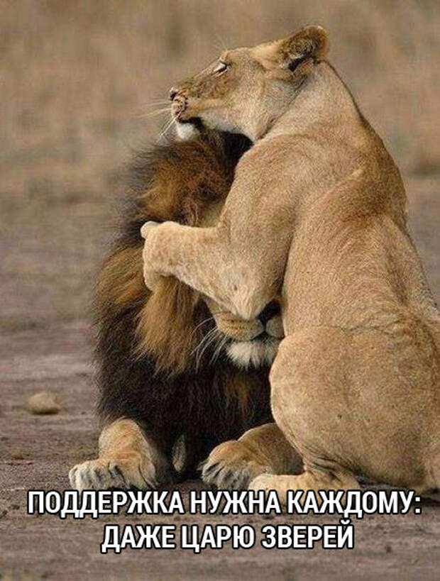 Пятничный пост прикольных картинок (42 шт)