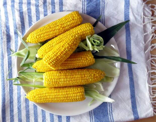 Как приготовить кукурузу в мультиварке?