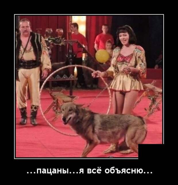 Демотиваторы 18 января 2022 года