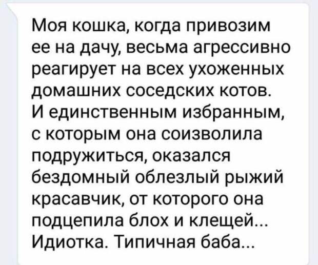 Подборка картинок. Вечерний выпуск (29 фото)