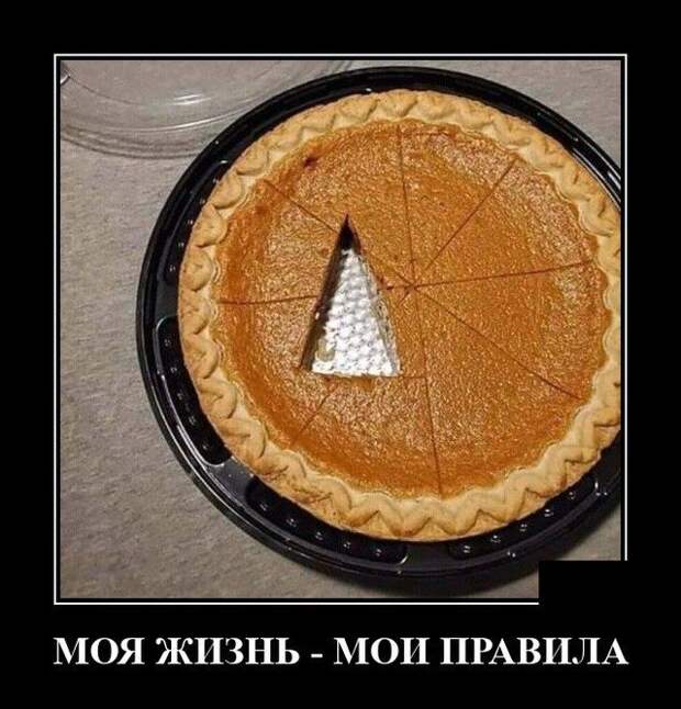 Демотиватор про правила