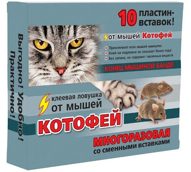 Как избавиться от мышей в частном доме