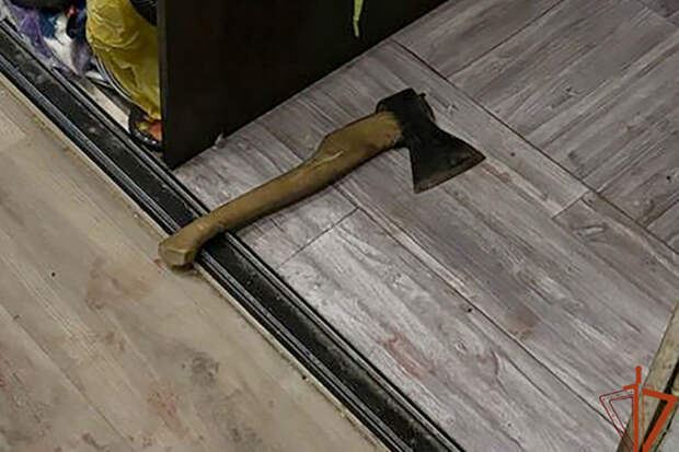 В Калининградской области пенсионер набросился на соседа из-за посаженного дерева