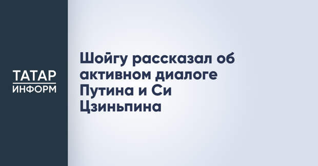 Шойгу рассказал об активном диалоге Путина и Си Цзиньпина