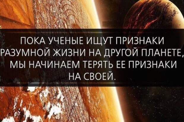 Картинки, юмор, приколы