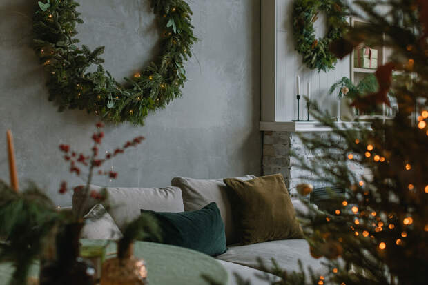 Биолог Шихов: добавки в воду позволят живой новогодней ели лучше сохраниться