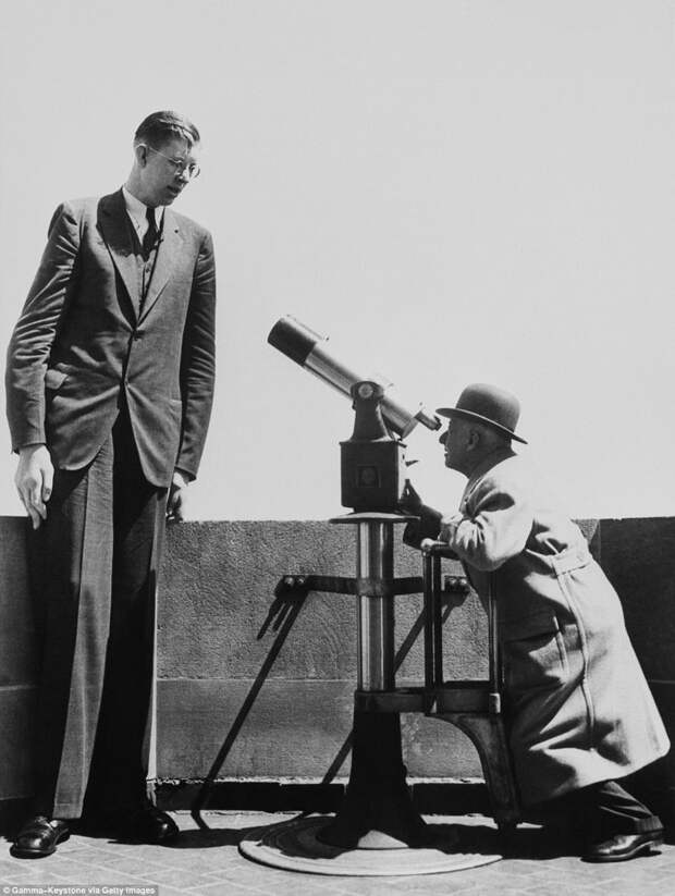 Шуточный снимок: какой-то мужчина рассматривает "нежного гиганта" в телескоп акромегалия, великан, опухоль, рекорд, рекорд гиннесса, рекордсмен Гинесса, самый высокий, самый высокий человек