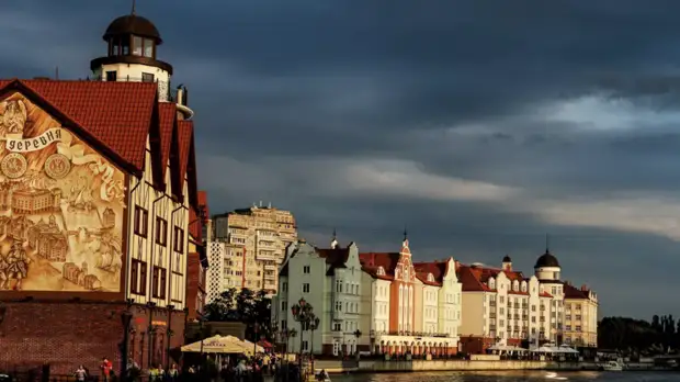 В Калининградской области зарегистрировали более 2 тысяч НКО в 2021 году