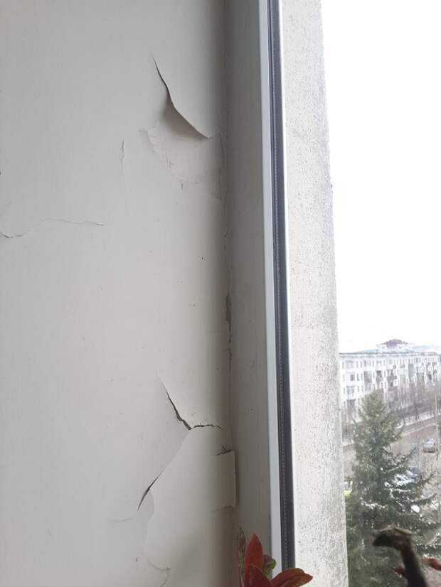 Тут скорее всего сэкономили на грунтовке. больница, министерство здравоохранения, поликлиника, ремонт, хирург