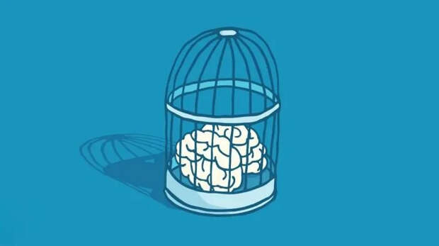 Ловушки нашего разума