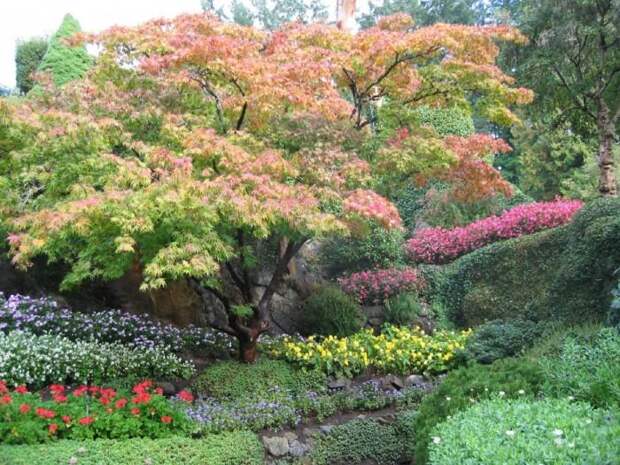 Место чарующее своей красотой и живой природой - The Butchart Gardens. 