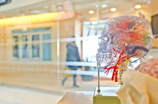 Врач Агапкин рассказал, какая привычка может привести к инсульту