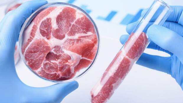 Лабораторно выращенное искусственное мясо.