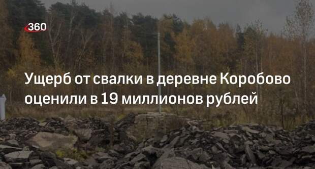 Ущерб от свалки в деревне Коробово оценили в 19 миллионов рублей