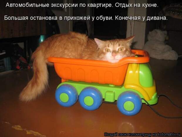 Забавные котоматрицы