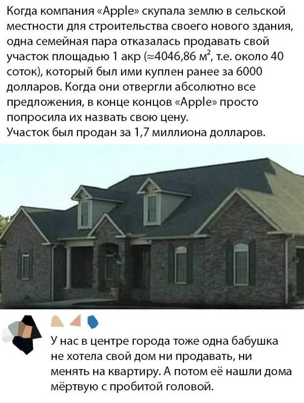 kartinok-prikolnyh-podborka-kartinki-smeshnye-kartinki-fotoprikoly