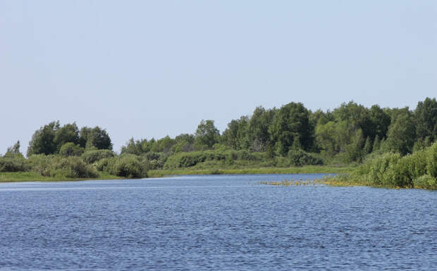 На реке летом